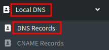Pi-hole sidebar menu showing Local DNS expanded with DNS Records option highlighted