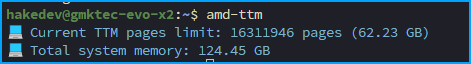 Terminal output of amd-ttm showing current TTM pages limit of 16311946 pages (62.23 GB) and total system memory of 124.45 GB