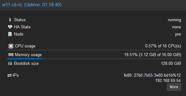 Proxmox VM Summary with IP Address