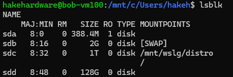 WSL lsblk Block Device List