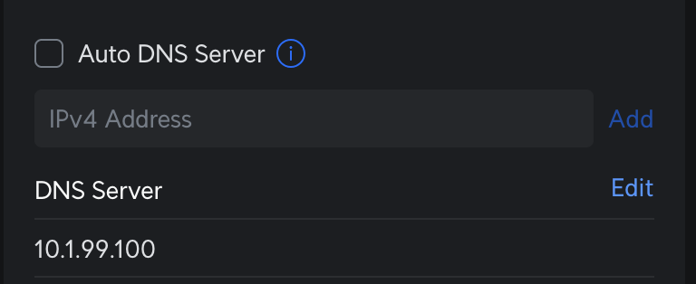 UniFi DNS Server setting with 10.1.99.100 entered