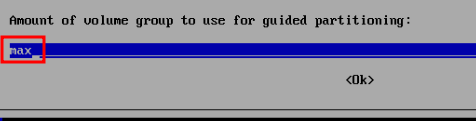 Debian Installer volume group size set to max